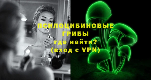 метадон Алексин