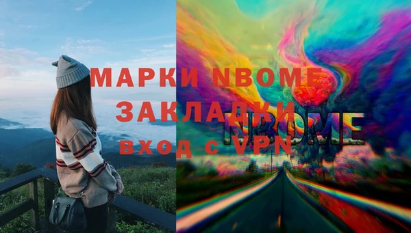 метадон Алексин