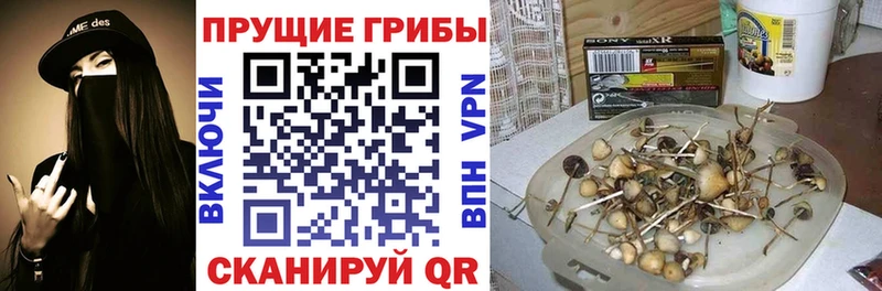Галлюциногенные грибы прущие грибы  Буинск 